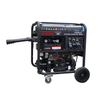 DY6500GEW (GASOLINE)